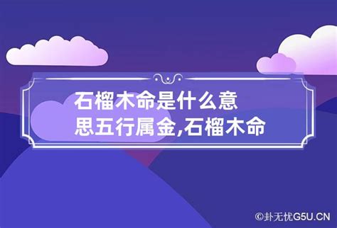 石榴木命 什么意思